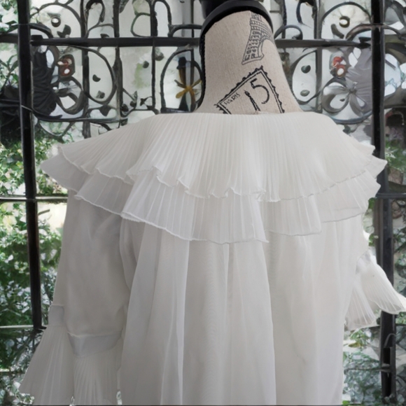 Elegant White Ruffled Blouse Topper - Picture 3 of 8
